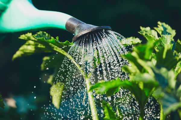 accessori irrigazione perugia