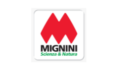 mignini